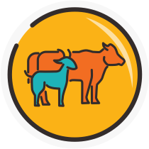 Qurban